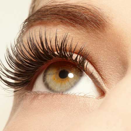 Formation en maquillage